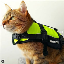 Load image into Gallery viewer, MAJA PET AID YELLOW BLACK