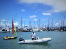 Load image into Gallery viewer, Cormorant 390