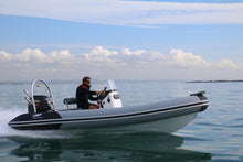 Load image into Gallery viewer, Cormorant 550/600