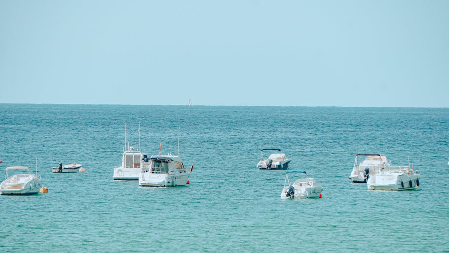 The Complete Marine Survival Guide: How Safety Equipment Saves Lives