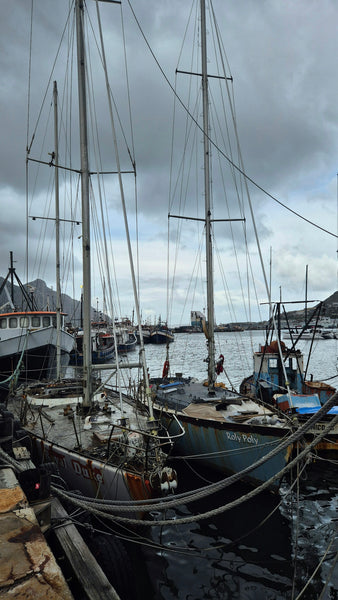 Sailing Into History: The Progression of Marine Safety Standards