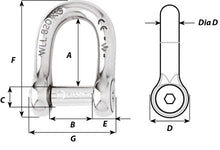 Load image into Gallery viewer, D-ALLEN KEY PIN SHACKLE DIA.12
